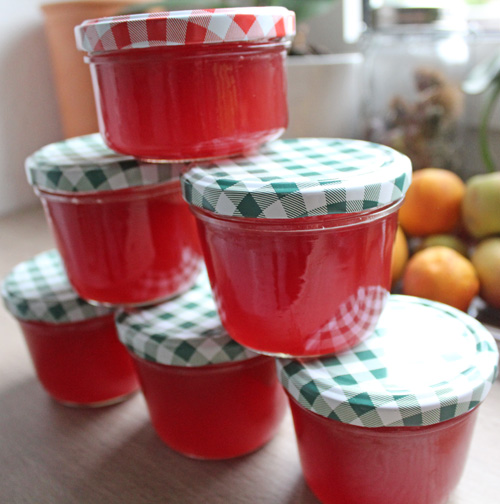Apfel Trauben Gelee - Rezepte Suchen