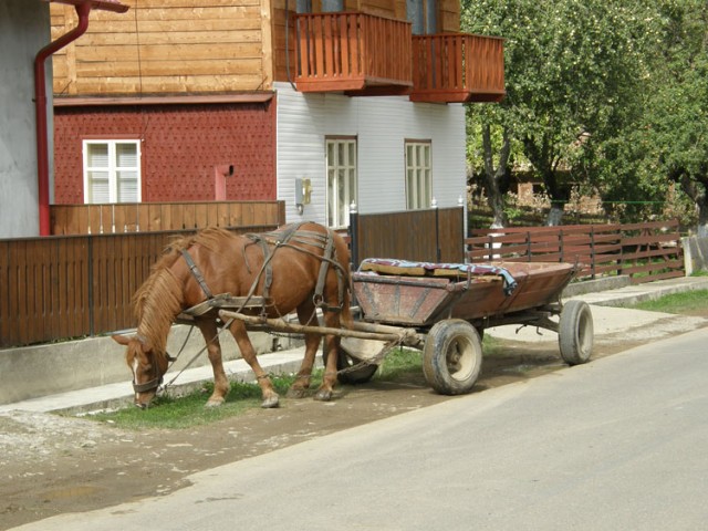 Ein alltägliches Bild in Rumänien: der Pferdewagen